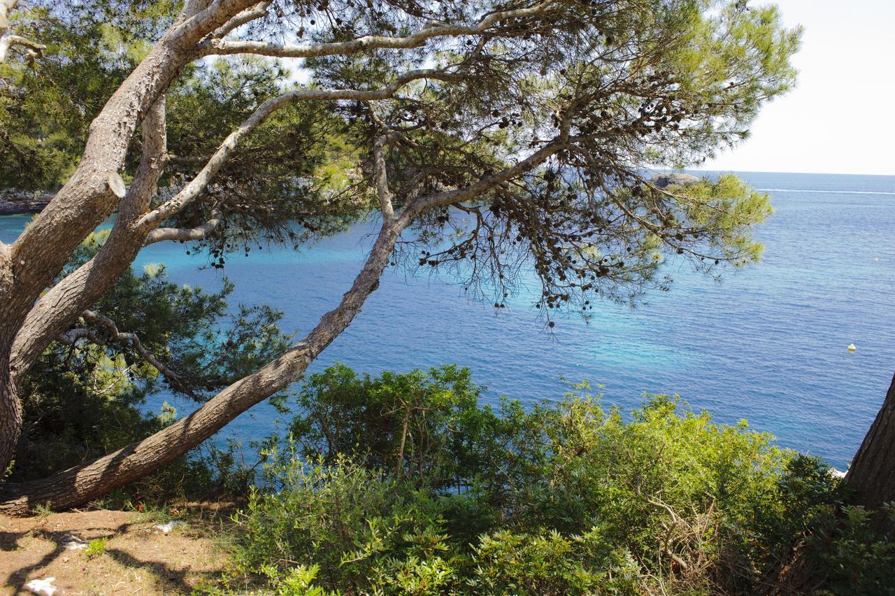 Apartamento Ferrera Park 206 Cala Ferrera  Eksteriør billede